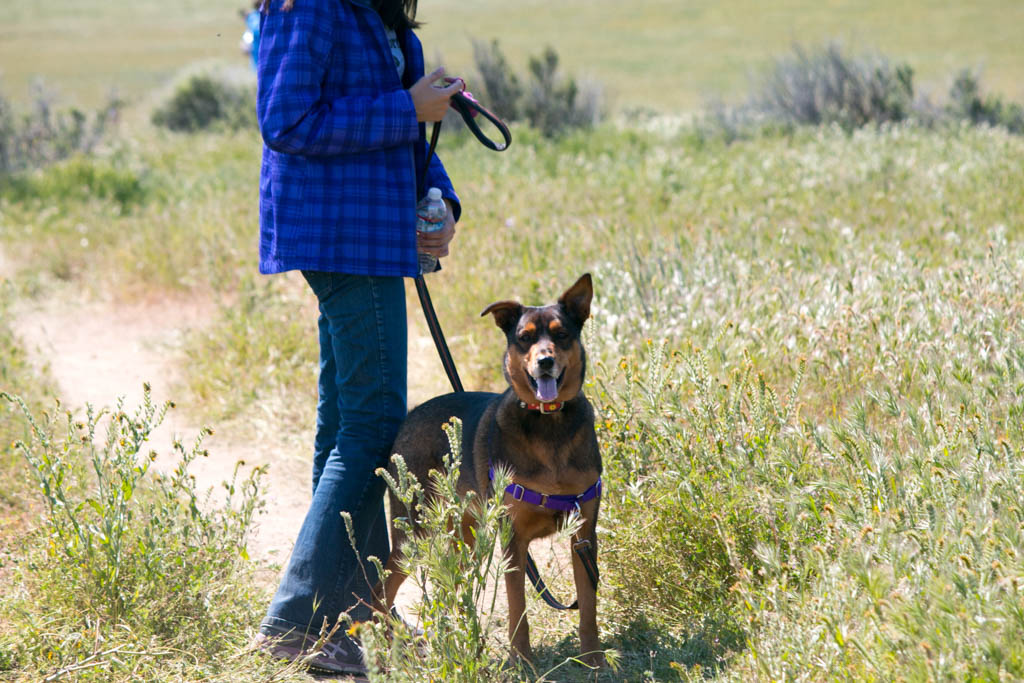 Carrizo Plain National Monument
