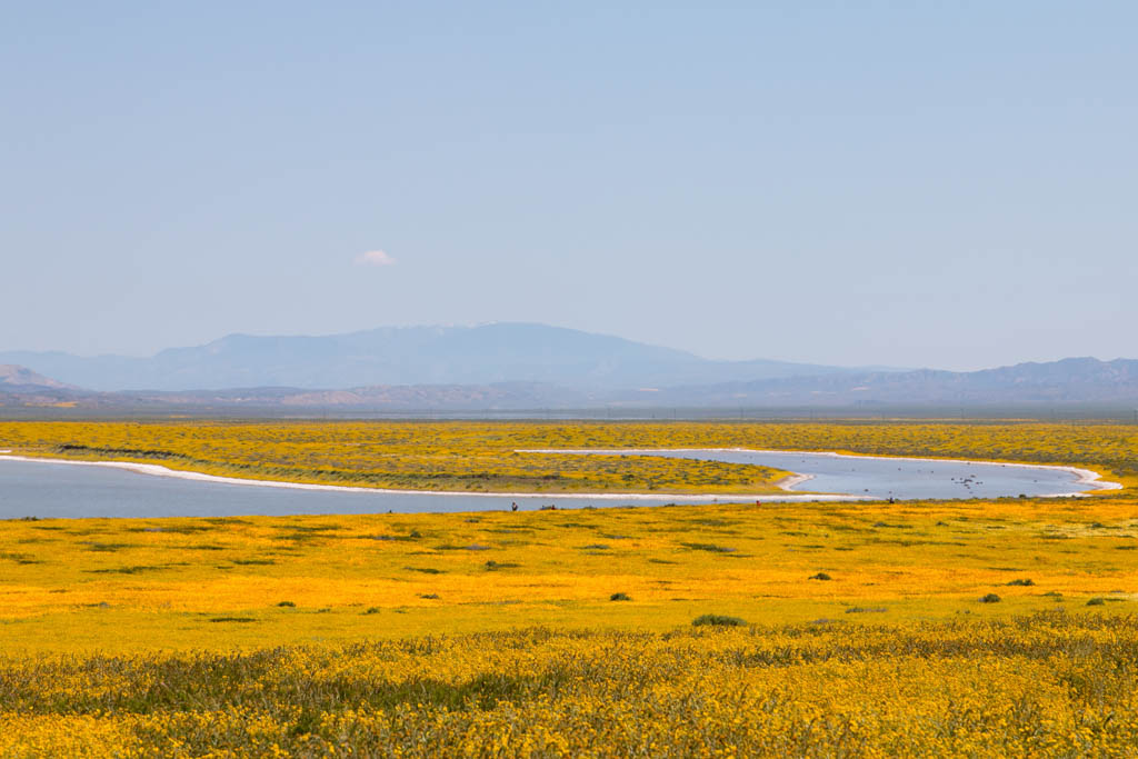Carrizo Plain National Monument