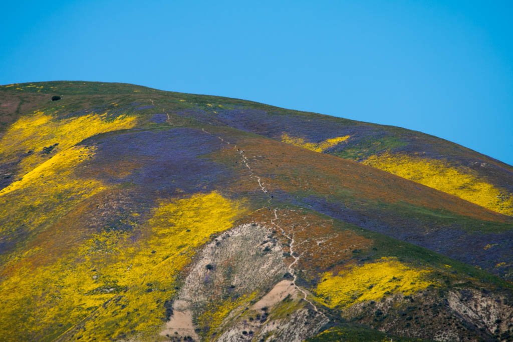 Carrizo Plain National Monument
