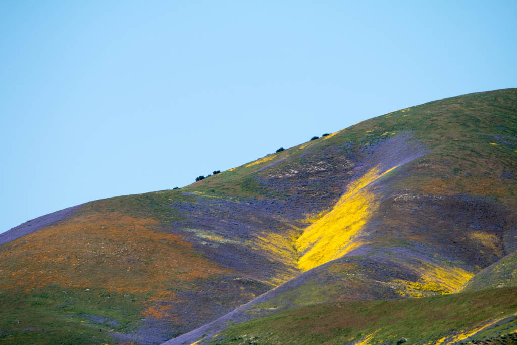 Carrizo Plain National Monument