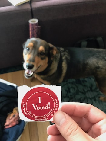 He Voted